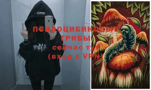 дурь Ростов