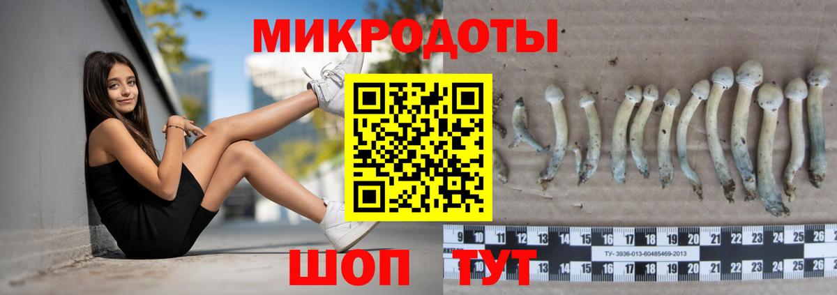 Галлюциногенные грибы Psilocybe  Вход с VPN  магазин продажи   Псилоцибиновые грибы мухоморы  Знаменск 
